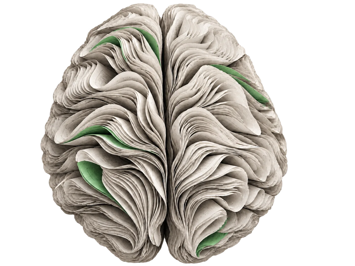 A sculptural brain made from layers of archival paper with mint inserts